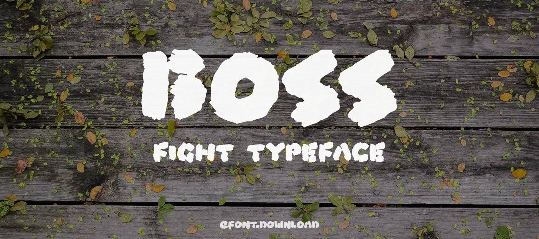 Boss Fight Font