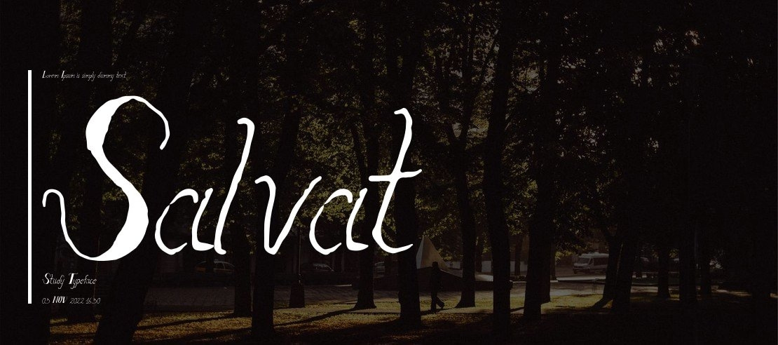 Salvat Study Font