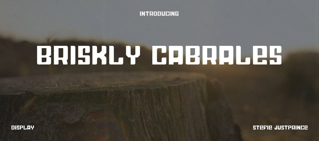 Briskly Cabrales Font