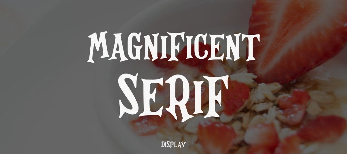 Magnificent Serif Font