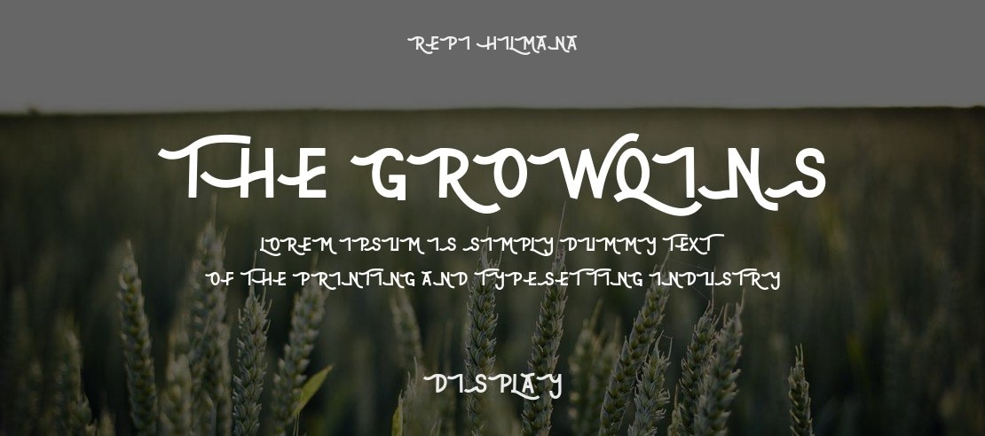 The Growqins Font