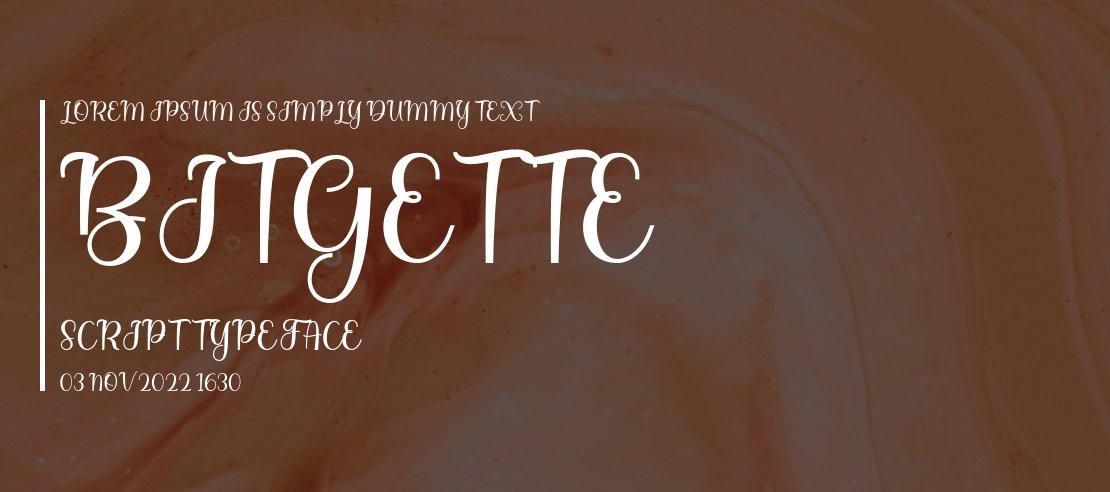 Bitgette Script Font