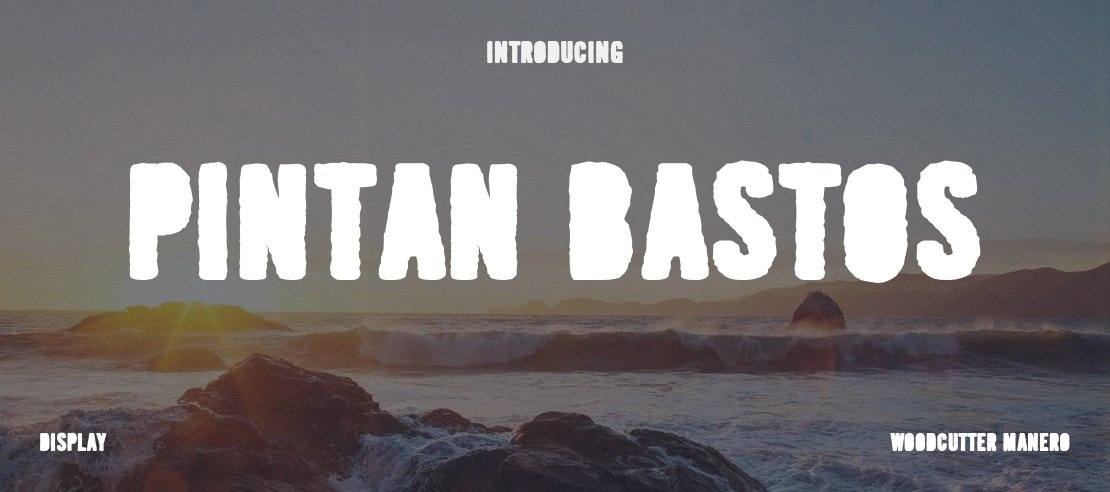 Pintan Bastos Font