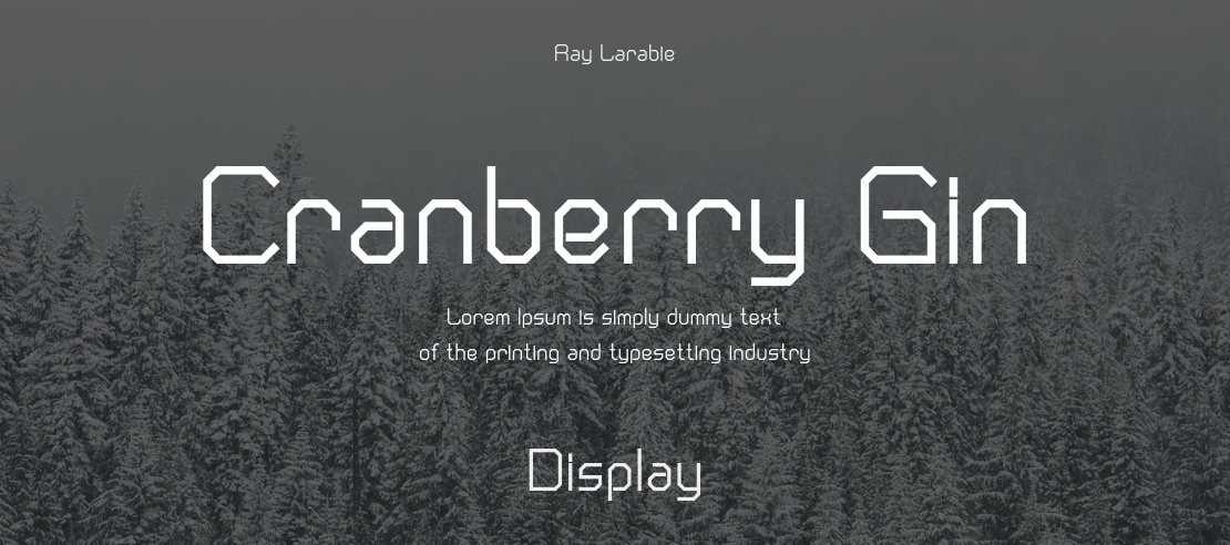 Cranberry Gin Font