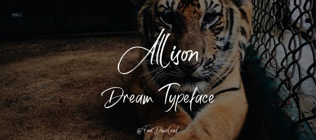 Allison Dream Font