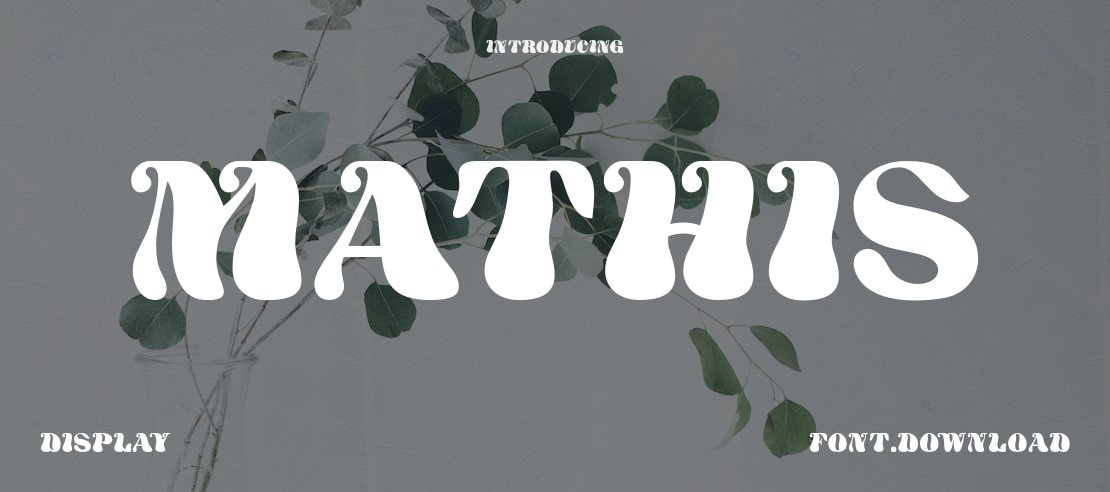 Mathis Font