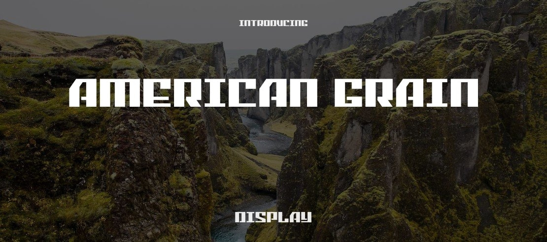 American Grain Font Family