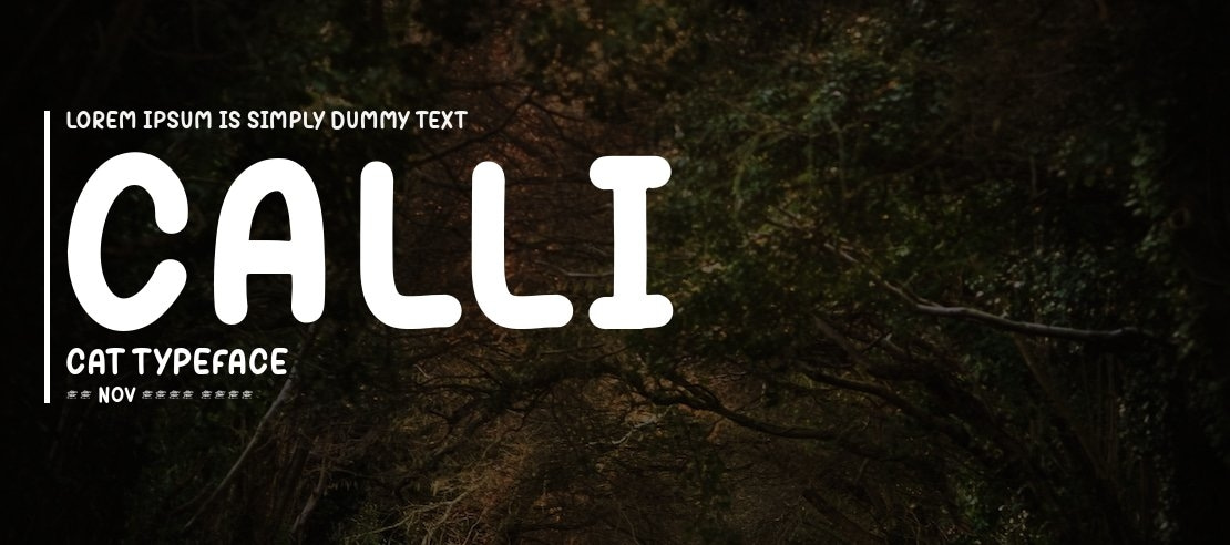 Calli Cat Font