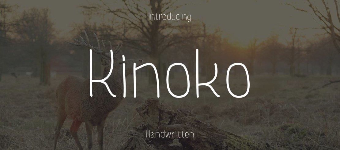 Kinoko Font