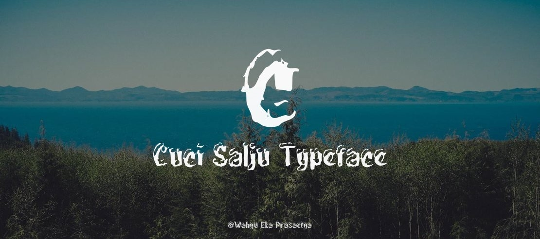 c Cuci Salju Font