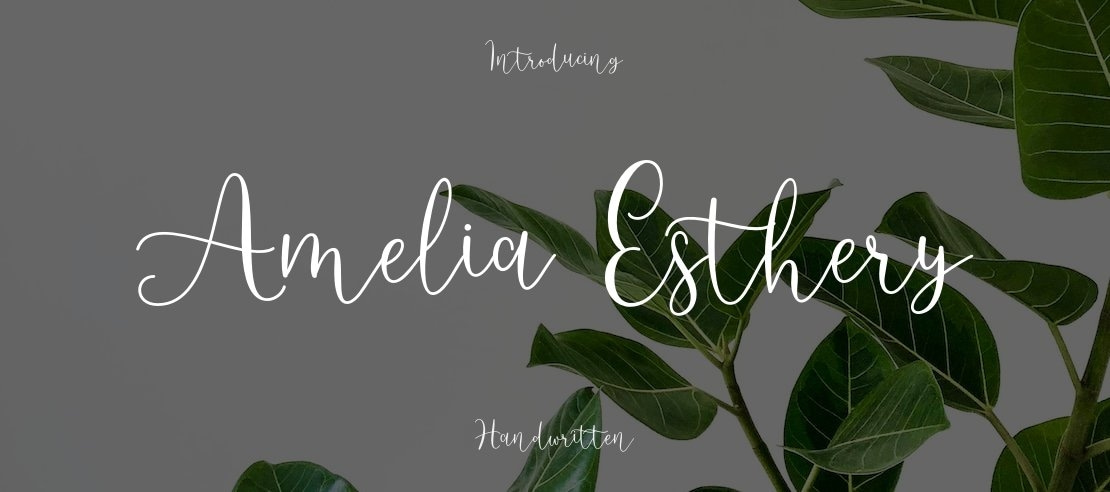 Amelia Esthery Font