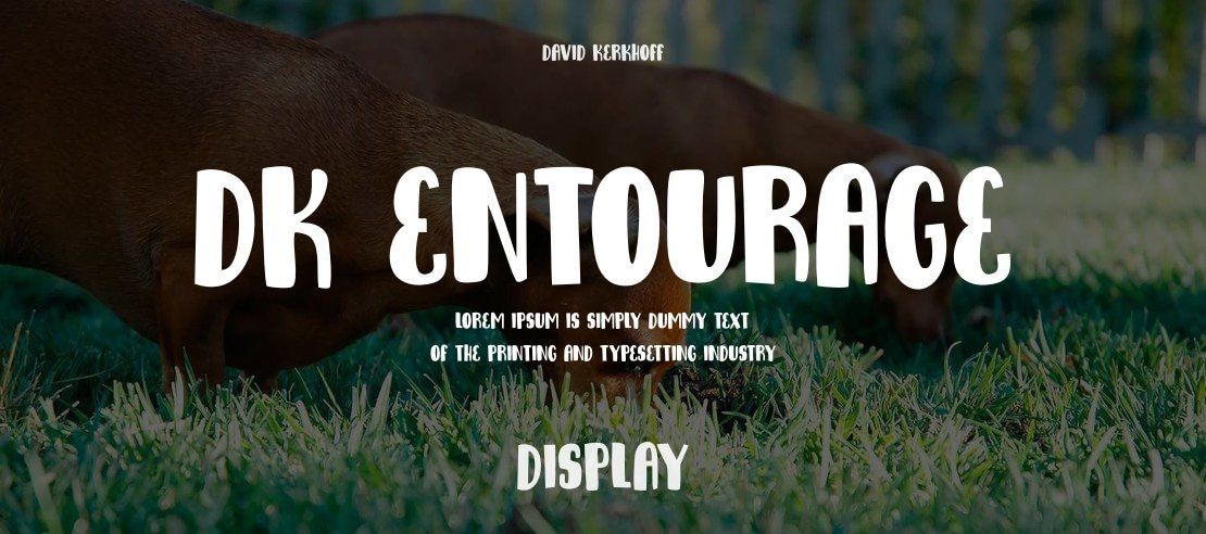 DK Entourage Font