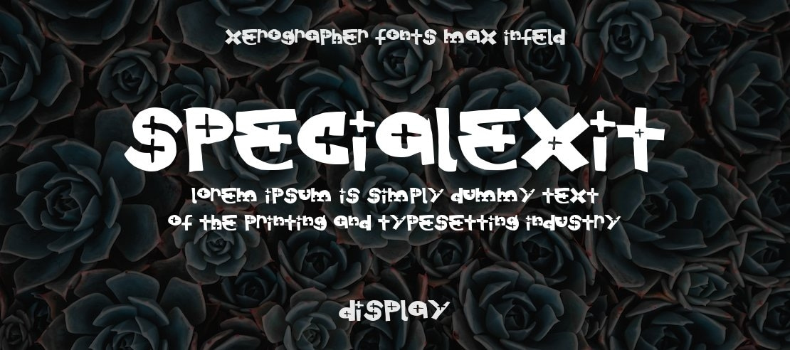 SpecialExit Font