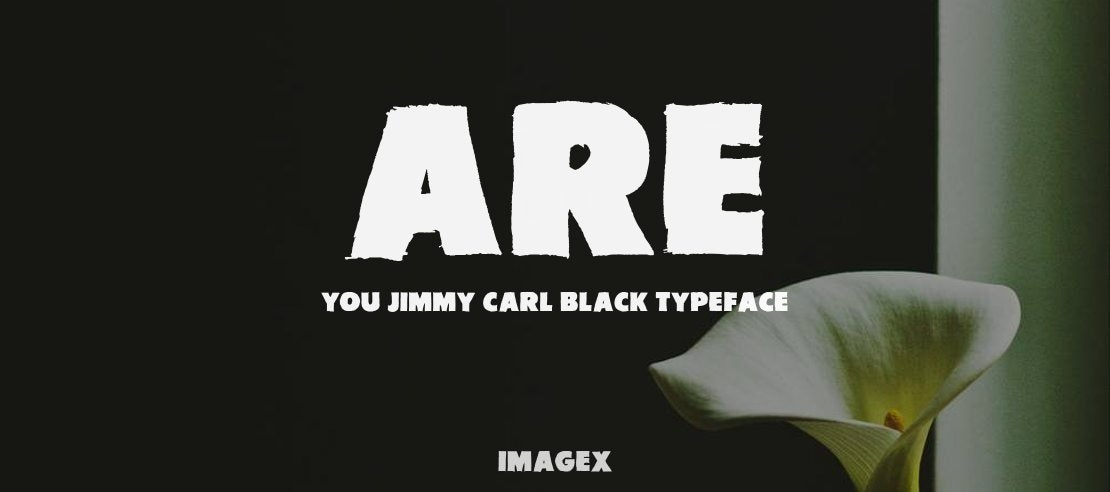 Are You Jimmy Carl Black Font