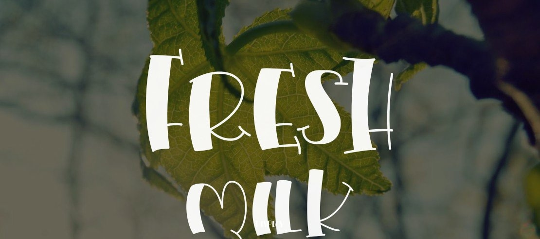 Fresh Milk Font