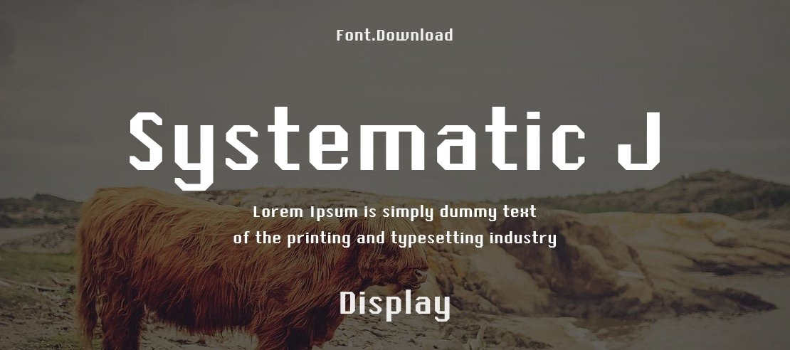 Systematic J Font