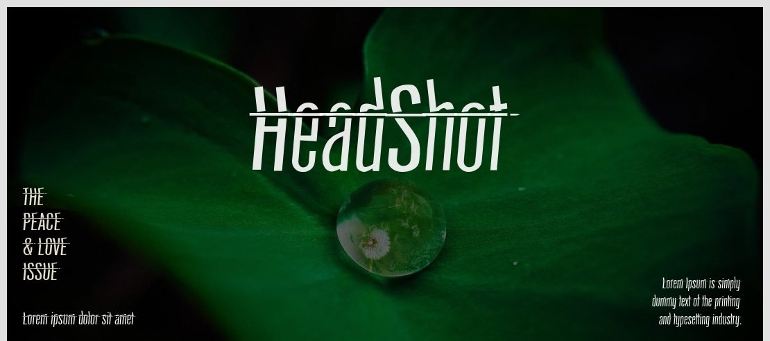 HeadShot Font