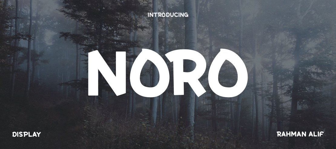 NORO Font Family