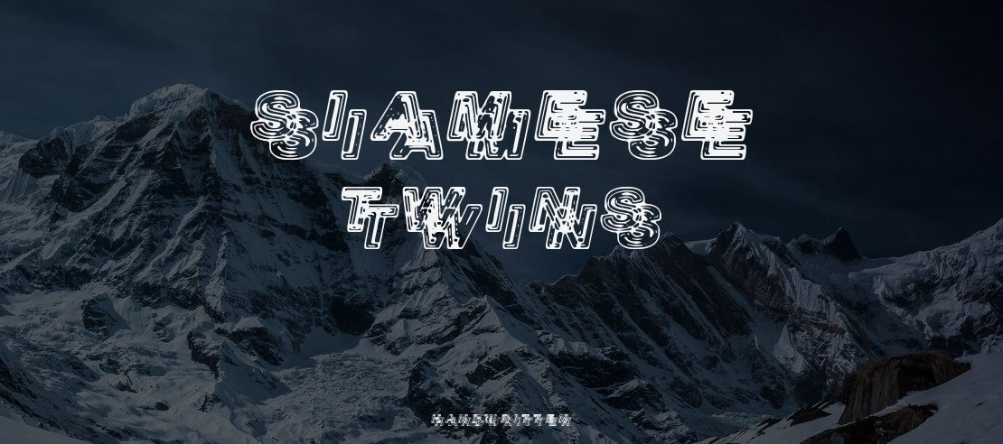 Siamese Twins Font