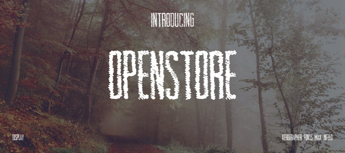 OpenStore Font