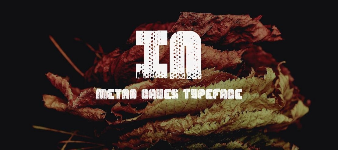 In Metro Caves Font