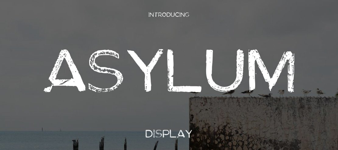 Asylum Font