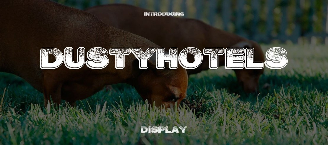 DustyHotels Font