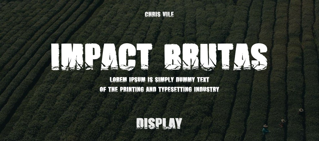 Impact Brutas Font