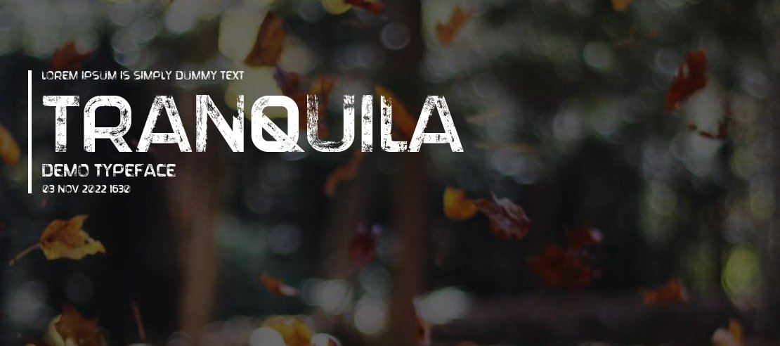 Tranquila DEMO Font