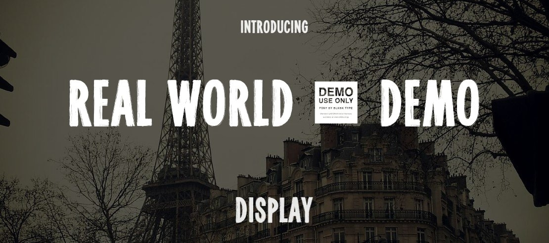 Real World - Demo Font