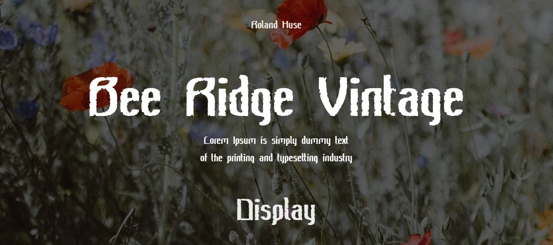 Bee Ridge Vintage Font