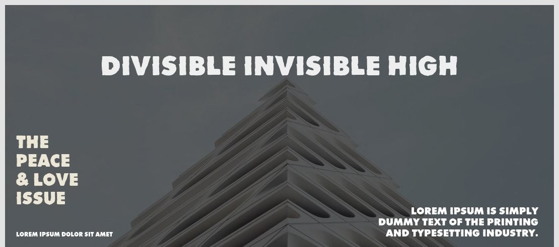 Divisible Invisible High Font Family