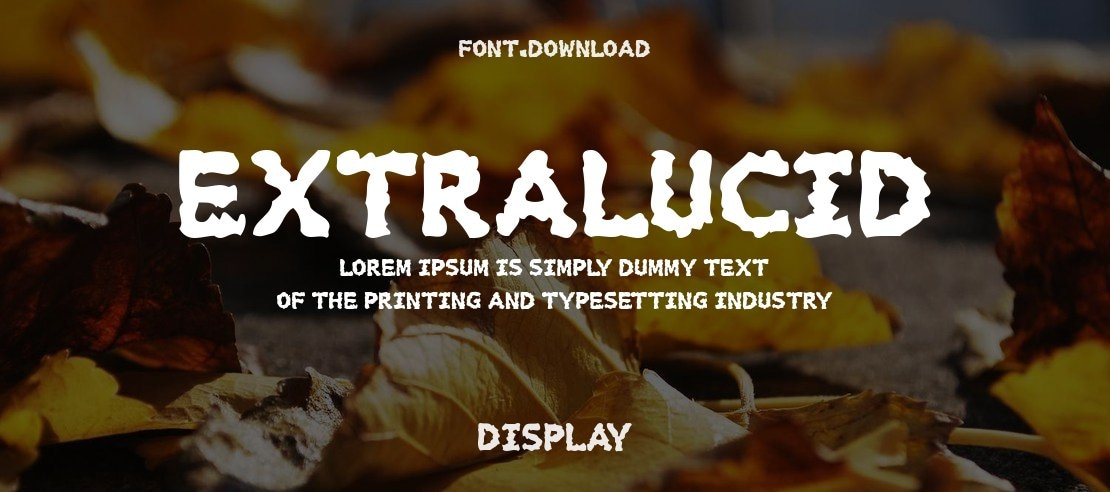 Extralucid Font