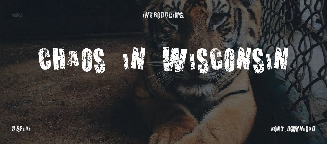 Chaos in Wisconsin Font