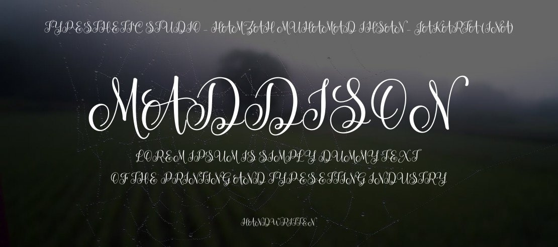 Maddison Font