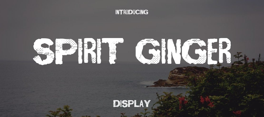 Spirit Ginger Font