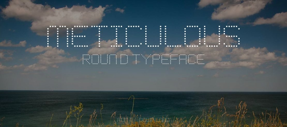 Meticulous Round Font