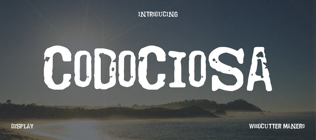 Codociosa Font