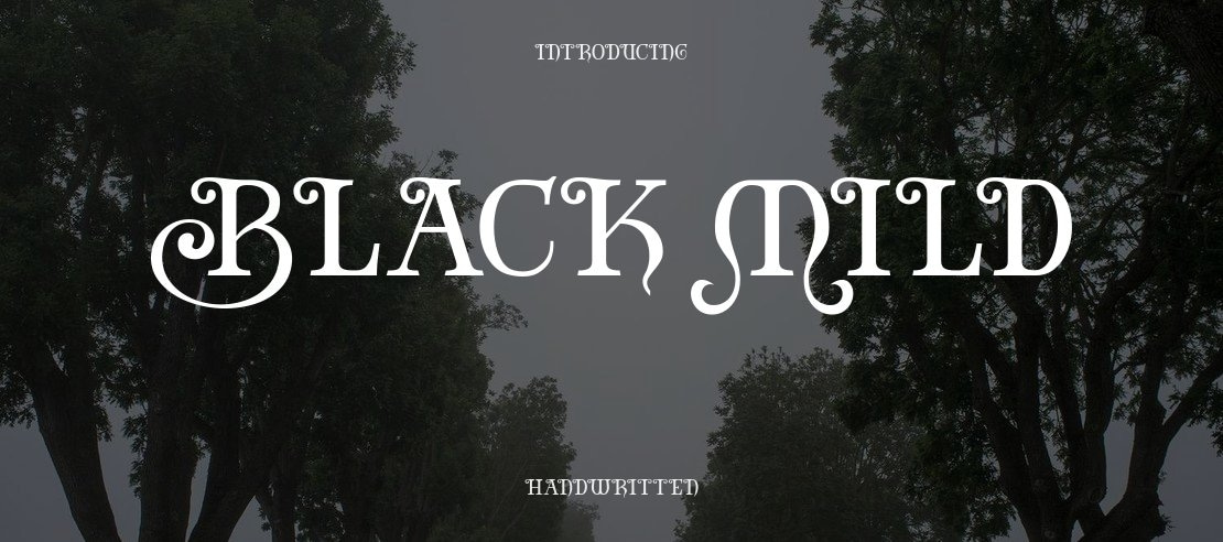 Black mild Font