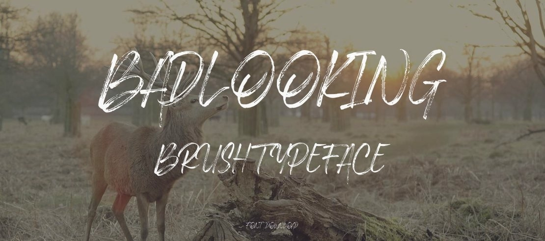 Badlooking Brush Font