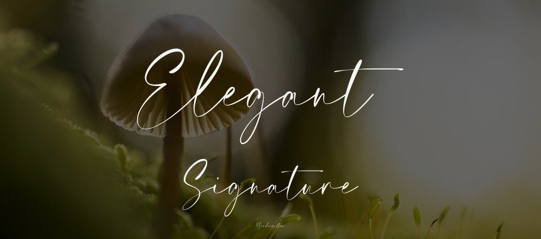 Elegant Signature Font