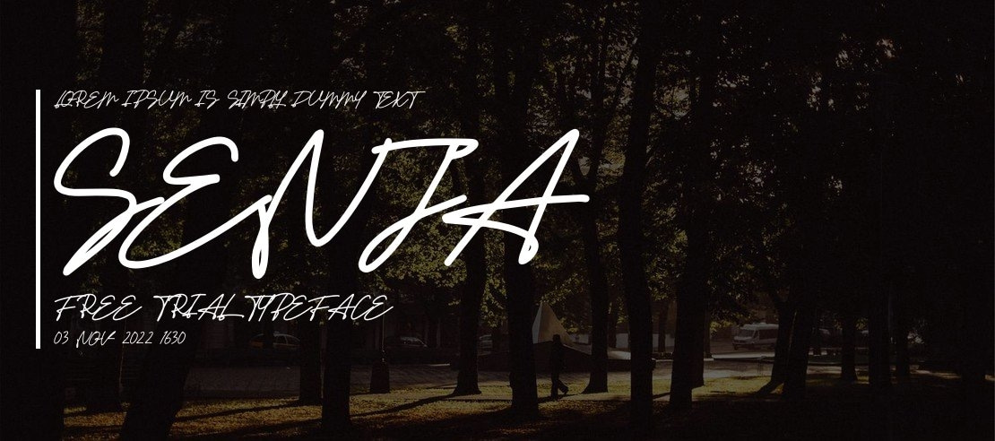 Senja Free Trial Font