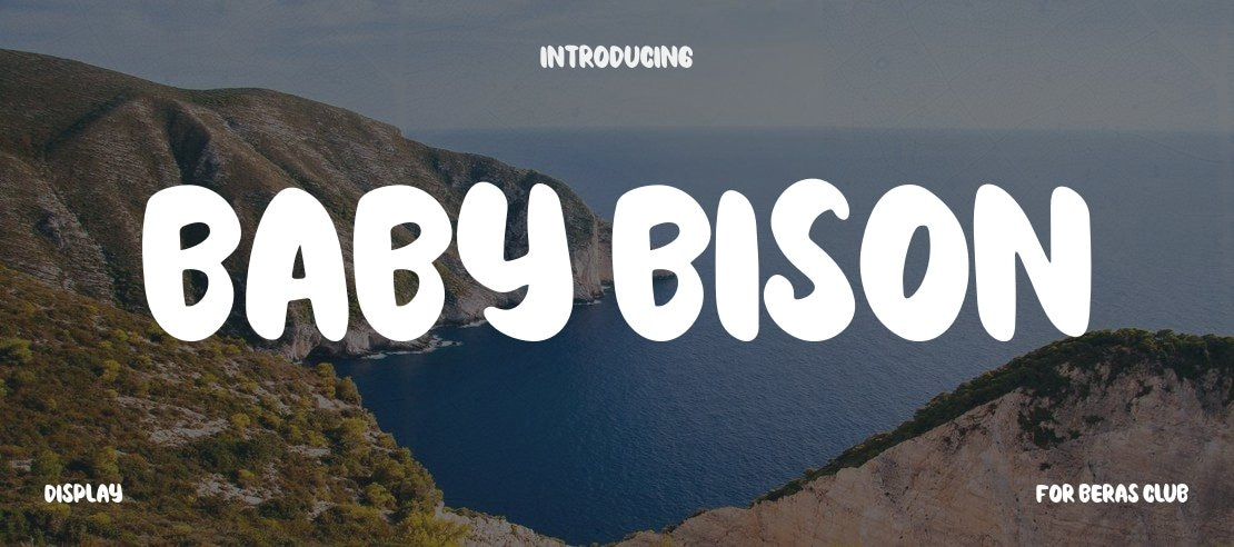 Baby Bison Font