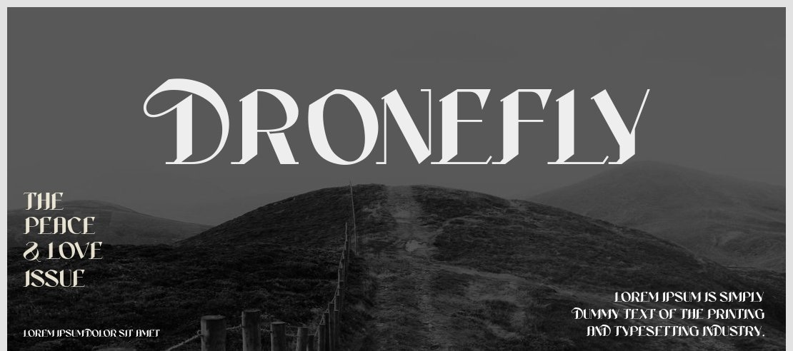 Dronefly Font