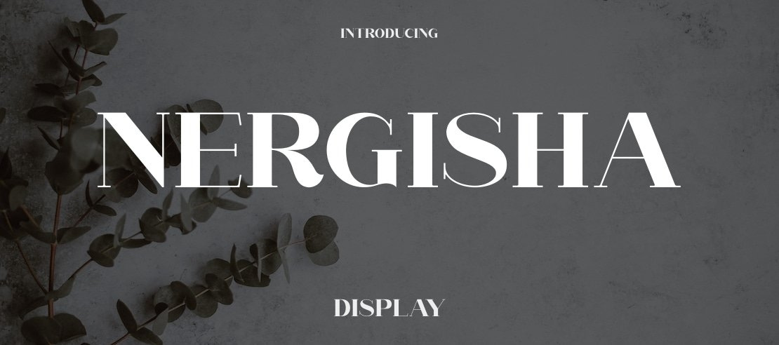 Nergisha Font