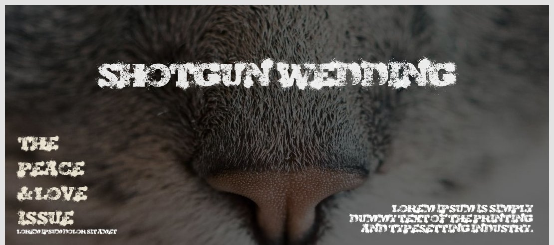 Shotgun Wedding Font