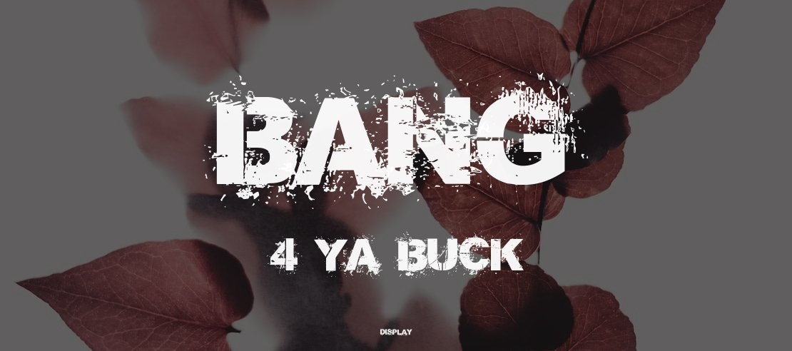 Bang 4 Ya Buck Font