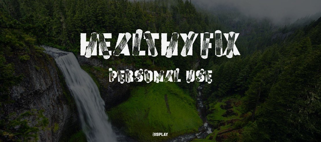 HEALTHYFIX PERSONAL USE Font