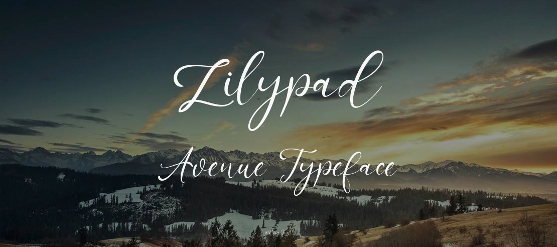 Lilypad Avenue Font