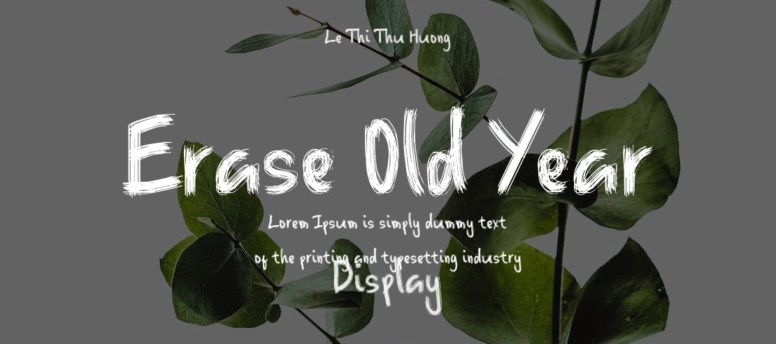 Erase Old Year Font